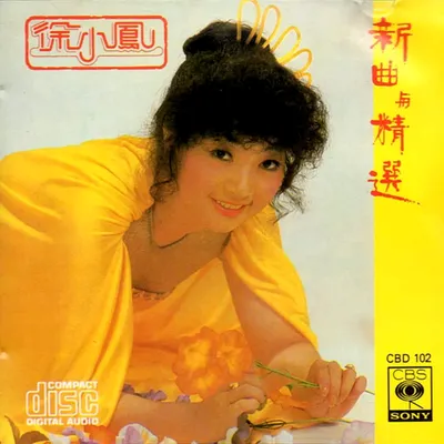 新曲與精選 專輯封面