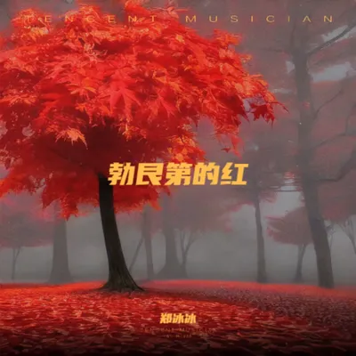 勃艮第的紅