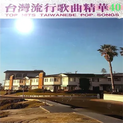 臺灣流行歌曲精華 40