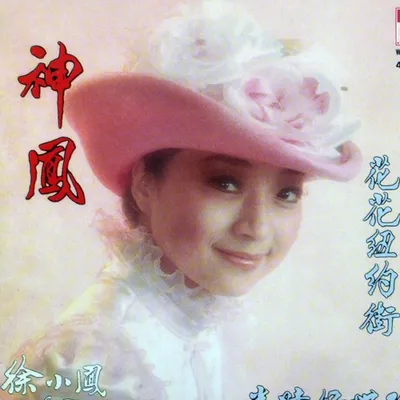 金碧輝煌全集V