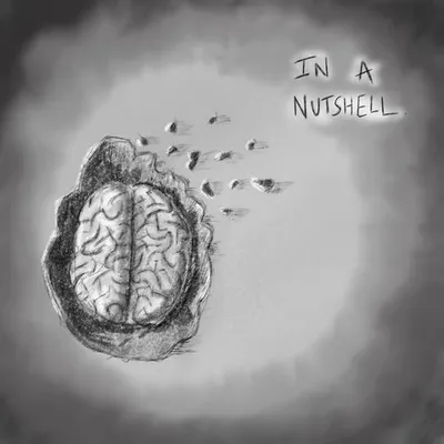 In A Nutshell