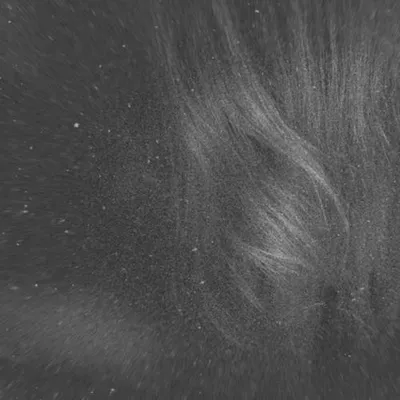 I Disappear