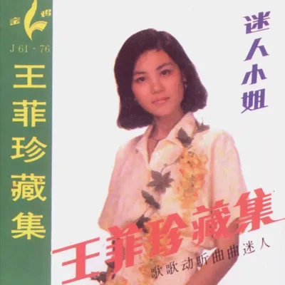 迷人小姐-王菲珍藏集