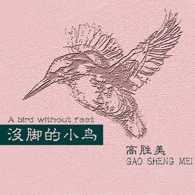 沒腳的小鳥