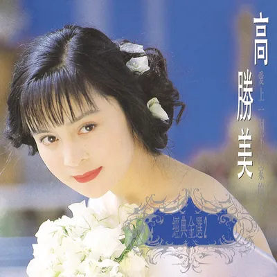 經典金曲 (2) 愛上一個不回家的人