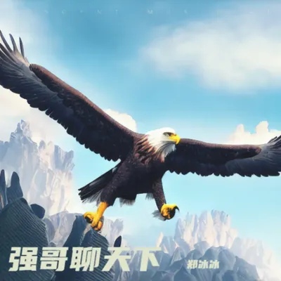 強哥聊天下