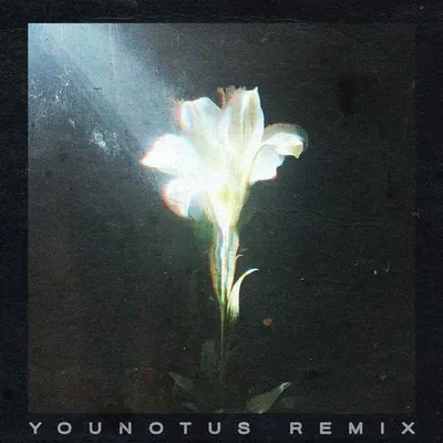 Light That Leads Me (feat. Bebe Rexha) [Subsonic Remix]