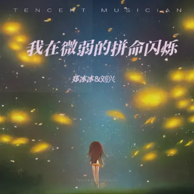 我在微弱的拼命閃爍