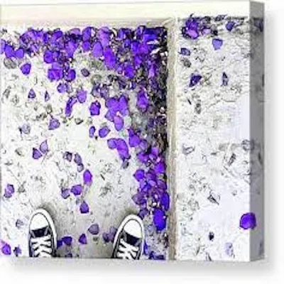 Purple rain (feat. E-40)