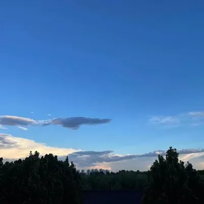 我想，你能知道