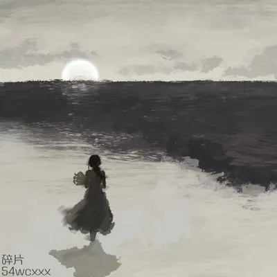 碎片 專輯封面