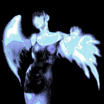 Augury 專輯封面