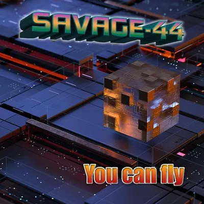 You can fly