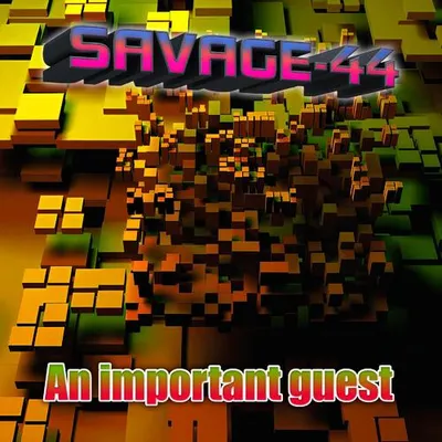 An important guest