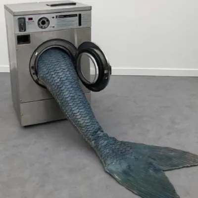 我是一隻魚