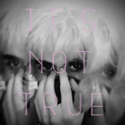 It's Not True 專輯封面