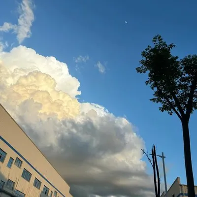 小時侯的風景 專輯封面