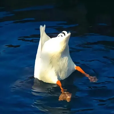 零七