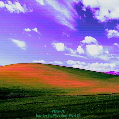 Into the Big Wide Open Field