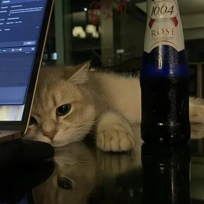 兩個我們