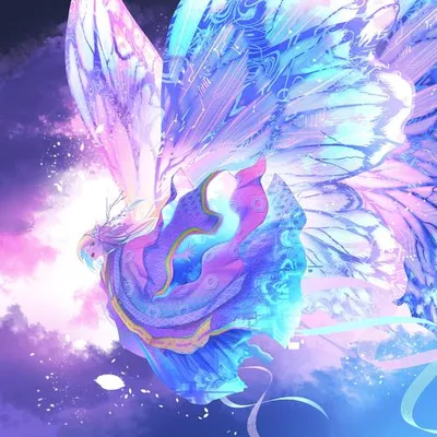 月虹蝶 專輯封面