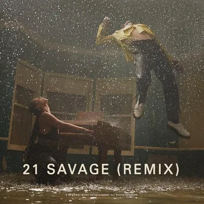 Show Me Love (Remix)