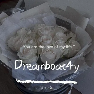 Dreamboat4y