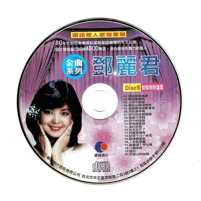 國語個人原聲專輯-恰似你的溫柔