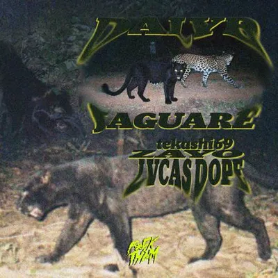 Jaguare