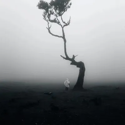 肝膽