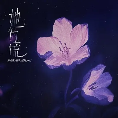 她的謊