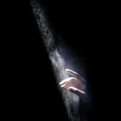 Fly The Lonely Shepherdd