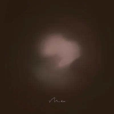 花瓶