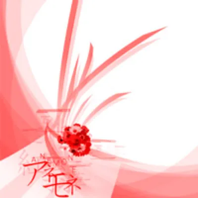 アネモネ