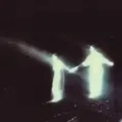 那就讓愛盛開