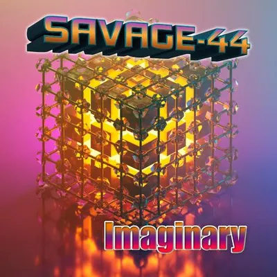 Imaginary