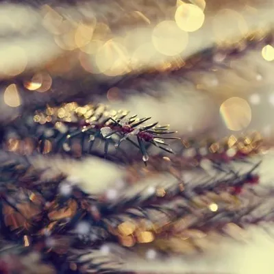 Jingle Bells  (K-391 Remix)
