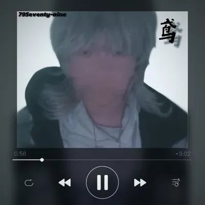 鳶