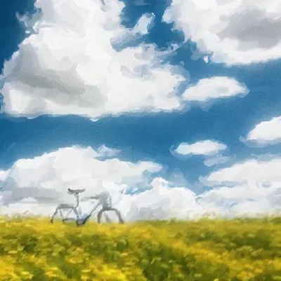 雲中夢