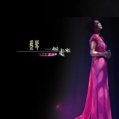 一起走來 - 2001香港紅磡演唱會 (Live)