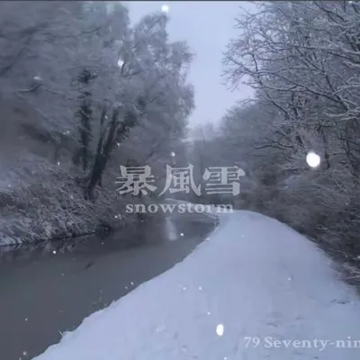 暴風雪Snowstorm