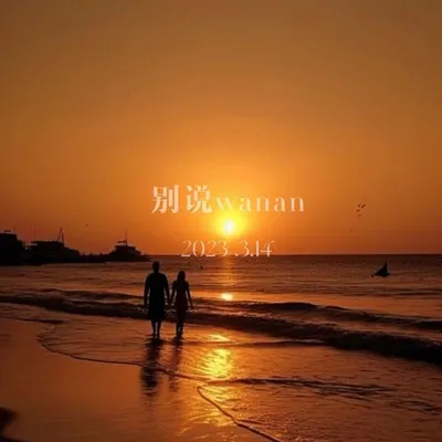 別說Wanan