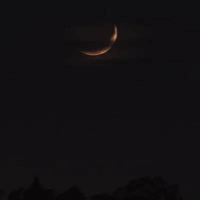 night