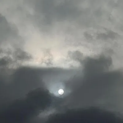 原生孤獨