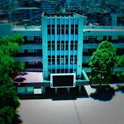 猴 山
