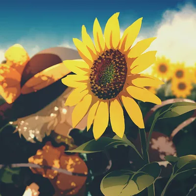 SUN