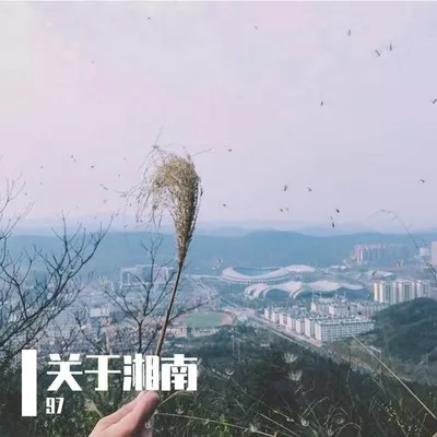 關於湘南