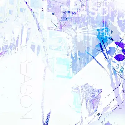 Reason