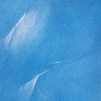 無瑕