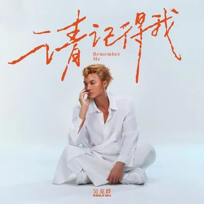 請記得我 專輯封面